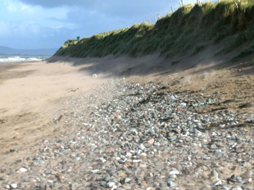 Tralee Bay Logo